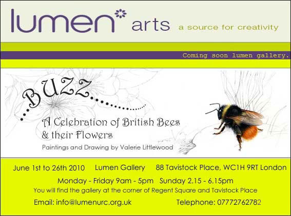 Bee banner